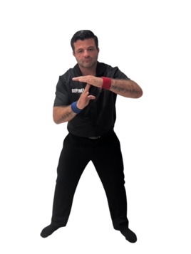 Pausing the match & time gesture
