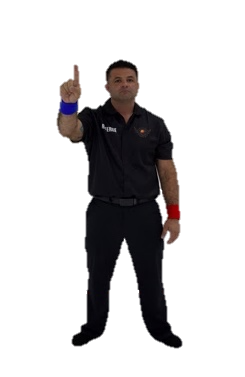 1 Point gesture